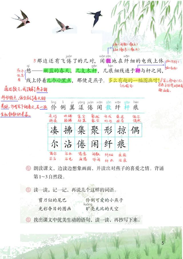 独角仙的特点是什么，独角仙的特点是什么什么,分别用了什么什么什么的方法（三年级语文下《第一单元课堂笔记》三个版本）