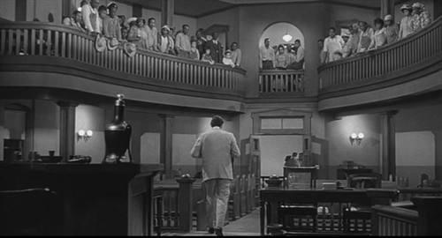 知更鸟象征什么，知更鸟的寓意及象征（《杀死一只知更鸟》）