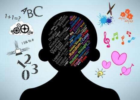 左脑型思维者介绍，左脑脑型思维者的特点（决定了你是什么样的一个人）