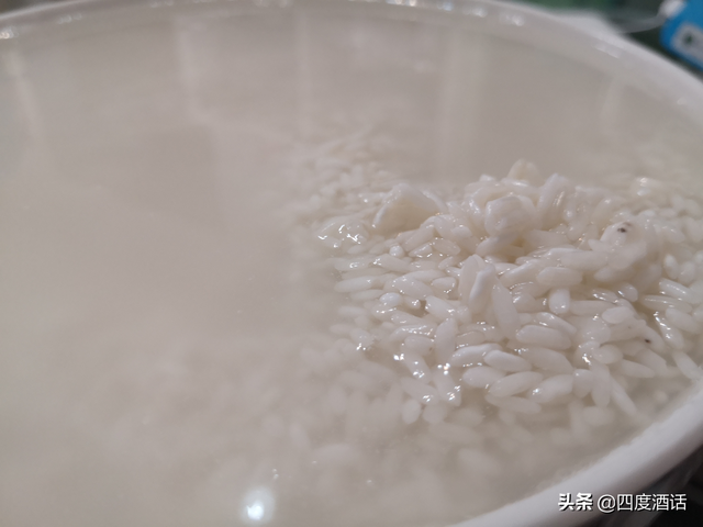 米酒怎么做，米酒的制作方法（米酒怎么做才能出酒）