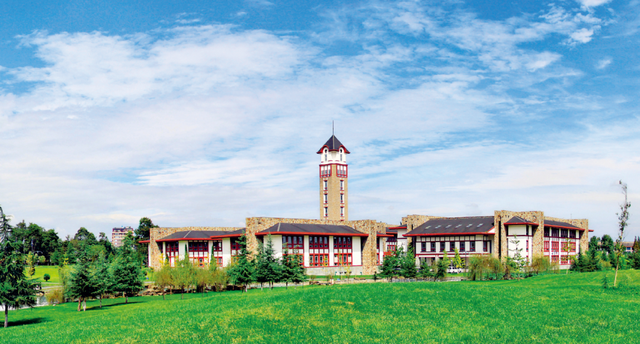 成都东软信息技术学院，成都东软学院是一本还是二本（这里是成都东软学院）