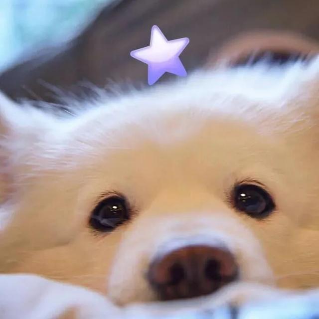 高清男头/情头，微信头像，高清男头/情头（一字一句皆是良人）