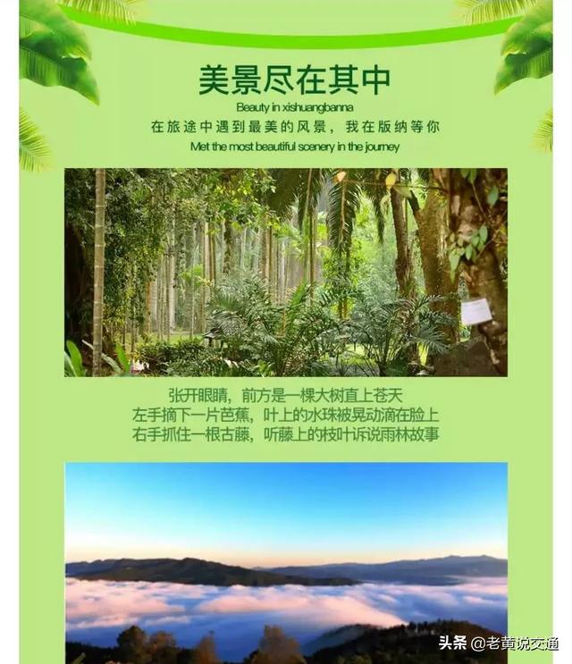丽江旅行社哪家好,丽江中国国际旅行社怎么样(我推荐朋友的丽江仁杰旅行社) 丽江旅行社哪家好,丽江中国国际旅行社怎么样(我推荐朋友的丽江仁杰旅行社)