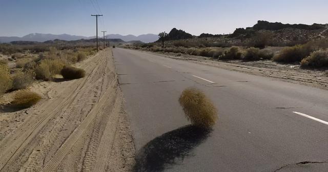 风滚草在中国叫什么，风滚草图片在中国叫什么（风滚草镇）