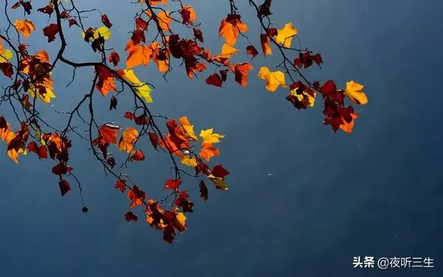 萧萧梧叶送寒声，萧萧梧叶送寒声的意思是什么（萧萧梧叶送寒声的意思是什么 百度网盘）