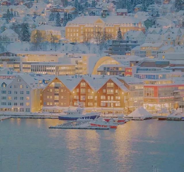 关于冬天的句子，关于冬天的句子唯美短句（文案，有关冬天的温柔可爱句子）