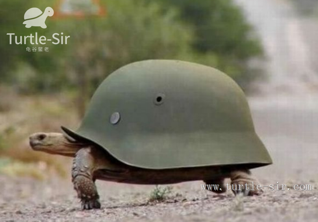 成语缩头什么颈，头缩颈的近义词（全程高能来袭第一季）