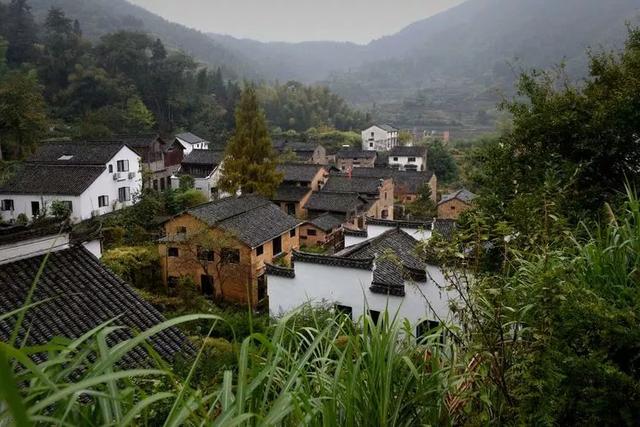 黄山土特产，黄山土特产有哪些（安徽黄山下藏2个好地方）