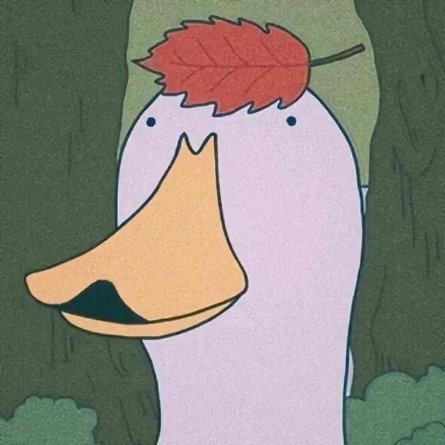 ins古怪风，微信头像，ins古怪风（奇怪的头像又增加啦）