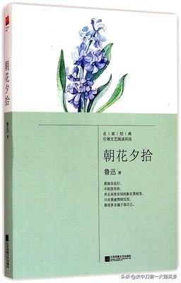 二十四孝故事概括，二十四孝故事简单概括（名著阅读《朝花夕拾》内容解读+知识点+题型训练）