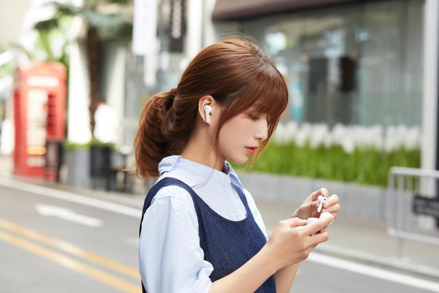 plu小东，PLU小东去哪了（入门级TWS耳机横评——两款热门国产之作）