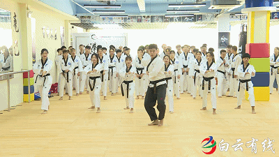 跆拳道分级分别是什么带，跆拳道分几种（我们白云区少说都有100多个……）