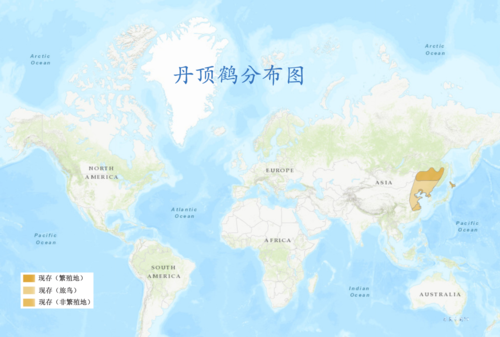 河马是哺乳动物吗，河马是水中动物吗（盘点地球上没有天敌的动物；丹顶鹤、大象、犀牛及河马）