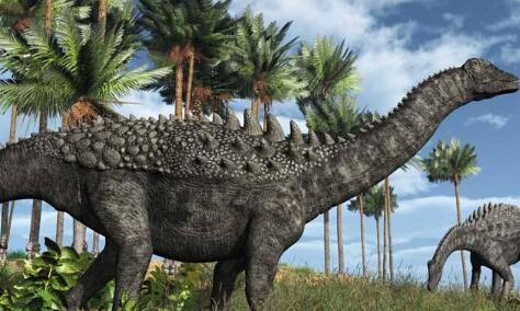 分别是蜥脚类恐龙,兽脚类恐龙,前者里面比较有名的有马门溪龙,雷龙