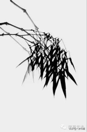国画竹子的画法，水墨竹子的画法（国画教程——怎样画竹<提高篇）