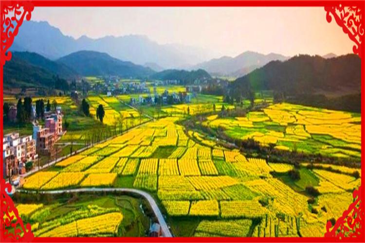 农村养殖致富(农村鱼塘养鱼技术)
