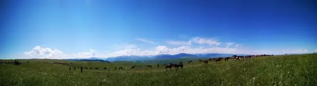 八卦城在新疆什么地方，新疆八卦城是谁设计的（全国特色旅游名县）