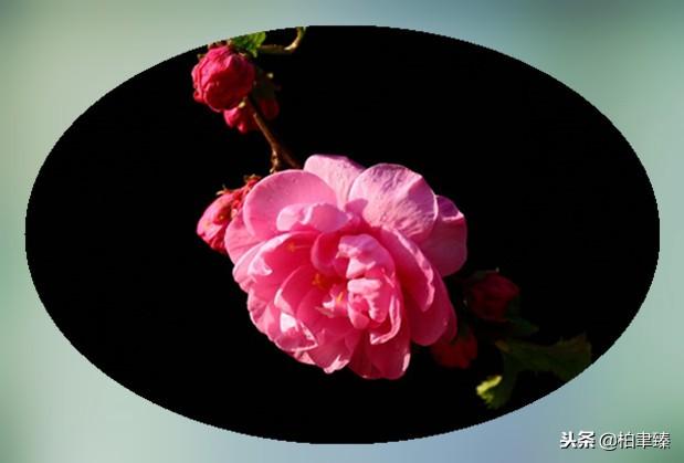 在乎与不在乎的区别，在乎与不在乎<说的太好了>