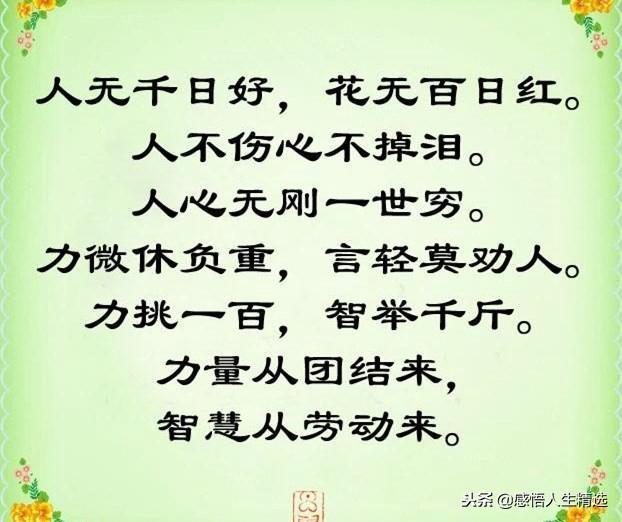 人无千日好花无百日红是什么意思，人无千日好花无百日红什么意思（人无千日好，花无百日红）