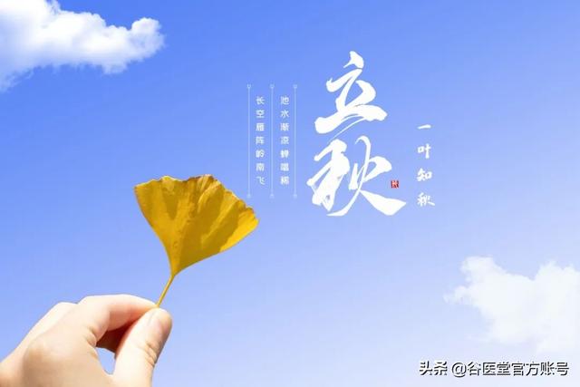 立秋吃什么食物养生，立秋节气吃什么养生（帮助身体做“收养”）