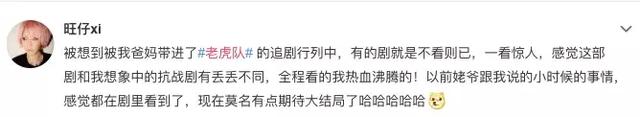 老虎队电视剧全集大结局，老虎队电视剧全集大结局视频（电视剧《老虎队》燃情落幕引热议）