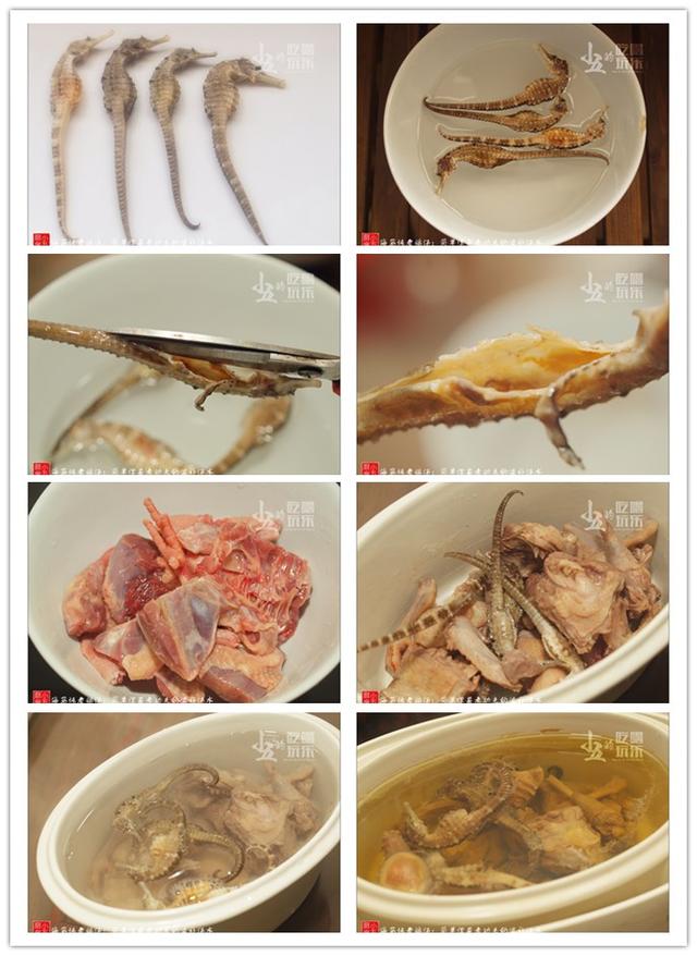 海马怎么煲汤效果最好，简单但甚考功夫的滋补汤水