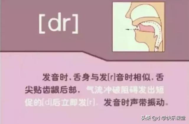 音标读音表发音教学，音素表怎么写（48个国际英语音标发音表及口型）