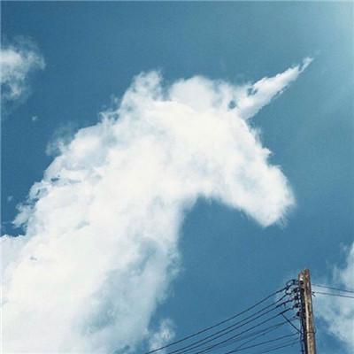 意境系列头像/2021系列头像微信，意境系列头像/2021系列头像（意境微信最吉利的图片好看头像）