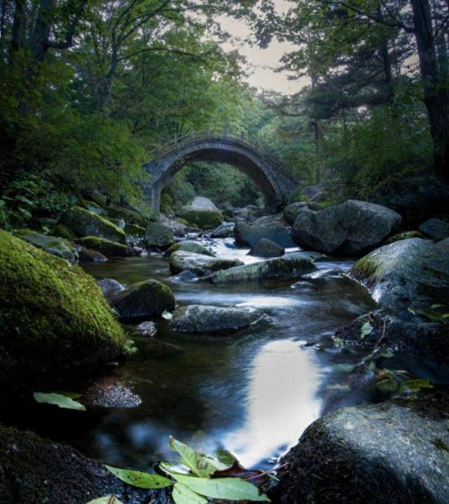 青玉案为什么读wan，青玉案读an还是wan（却是游子想家的真情流露）