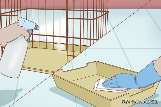 小白兔用什么辨别气味，小白兔的气味是什么味道（邻居小妹抓了一只兔子不知道怎么养）