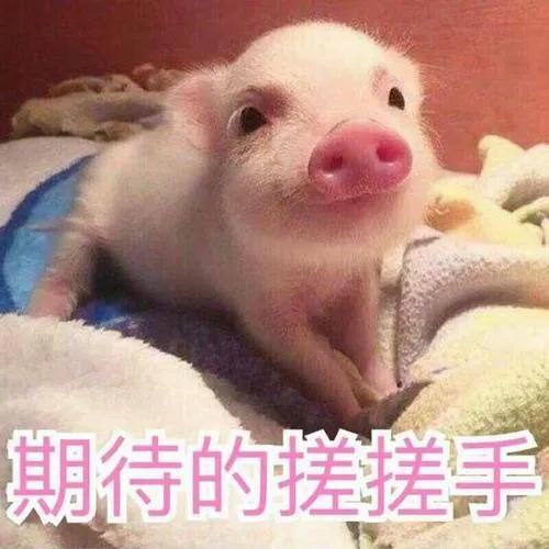 扒爷说的莲花姐是谁,盛装里的花姐是谁(好一朵清纯白莲花) 扒爷说的莲花姐是谁,盛装里的花姐是谁(好一朵清纯白莲花)