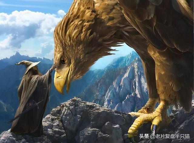 魔戒阿拉贡的真实寿命，看了才知道甘道夫为什么总是“近战”