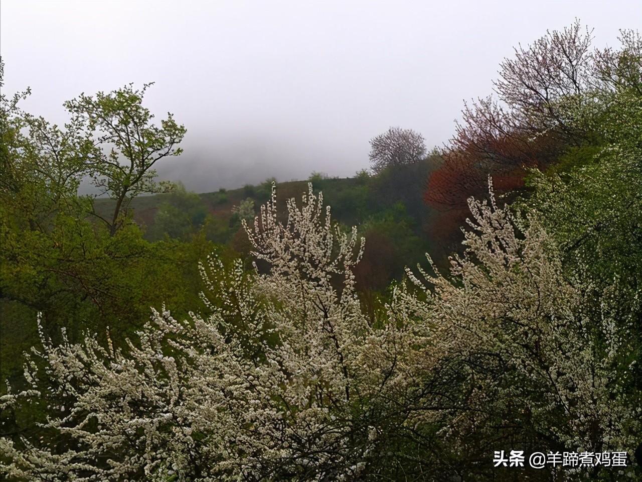 大西沟旅游风景区(辽阳大西沟旅游风景区)