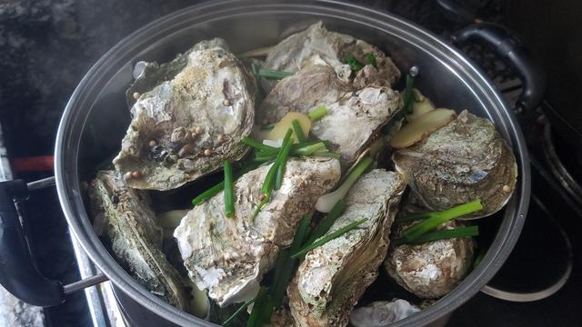 生蚝的做法，生蚝的做法及清洗（生蚝的简单做法）