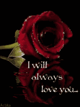 七月七日是情人节吗，每个月十四号都是什么情人节（今天是7月7日情人节）