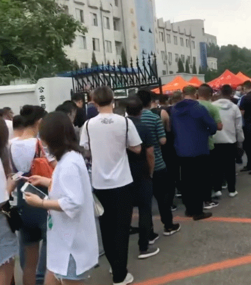 警犬多少钱一只(中国最厉害的警犬)