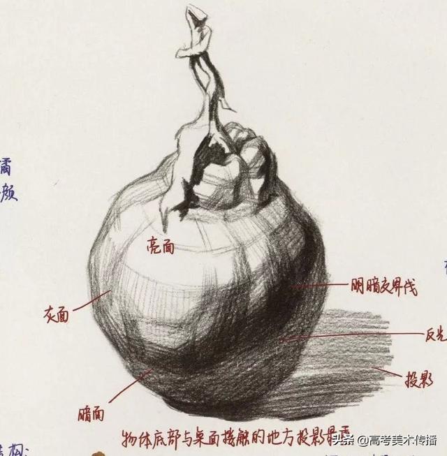 色彩中静物调色怎么调，色彩静物变调（教你理解快速掌握色彩静物）