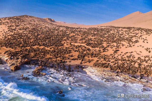 最危险的海滩，最危险的海滩在哪里（全球最危险的海岸）