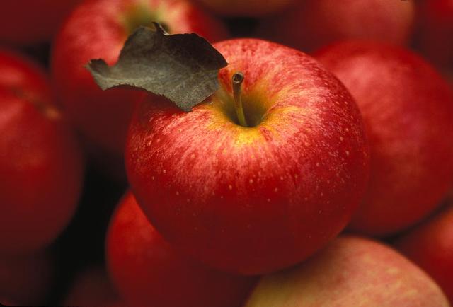 苹果的品种有哪些，目前最好吃的苹果是什么品种（盘点最受欢迎的苹果品种）