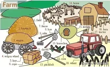 英语学习方法总结，怎么学好英语方法技巧（超级全面的小学英语学习方法总结）