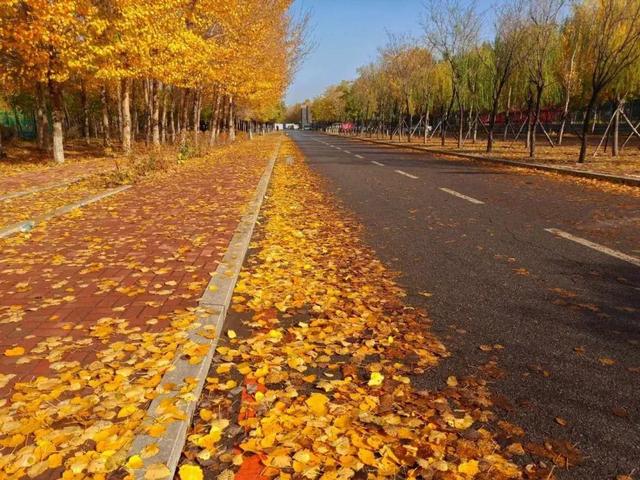 沈阳城市建设学院是几本，沈阳城市建设学院是几本大学（<十一>沈阳城市建设学院）