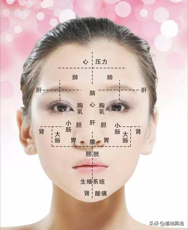 人脸部位置名称详细图，脸颊具体位置图片（老中医面诊：从脸部五官看疾病）