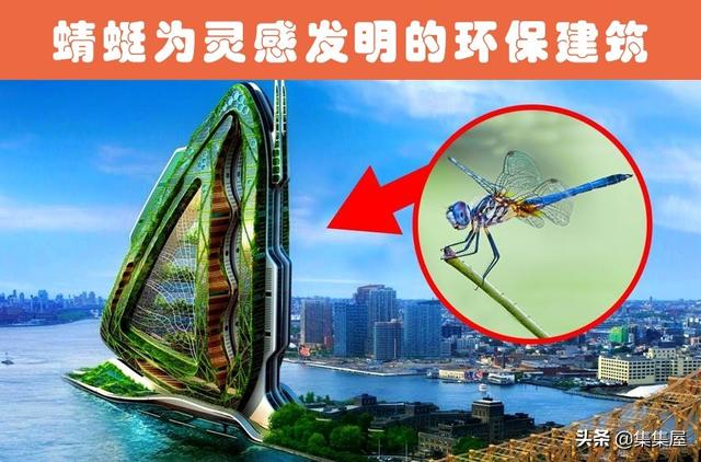 根据动物发明的东西有哪些，根据动物发明的东西有哪些英文（受到了动物的启发）