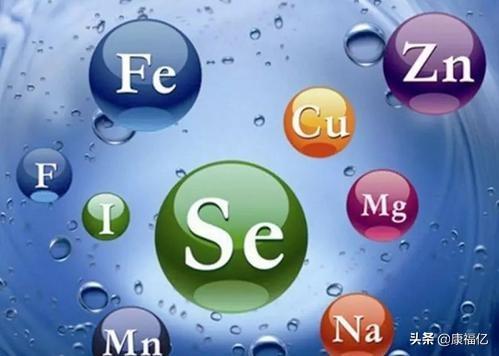 什么是菊粉，康福亿健康小知识：菊粉是什么