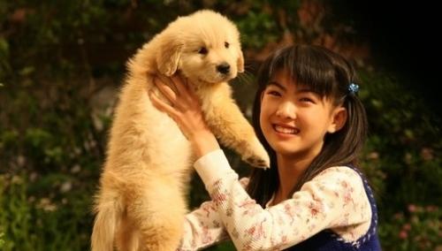 感动全球的几大狗狗电影，感动全球的九大狗狗电影