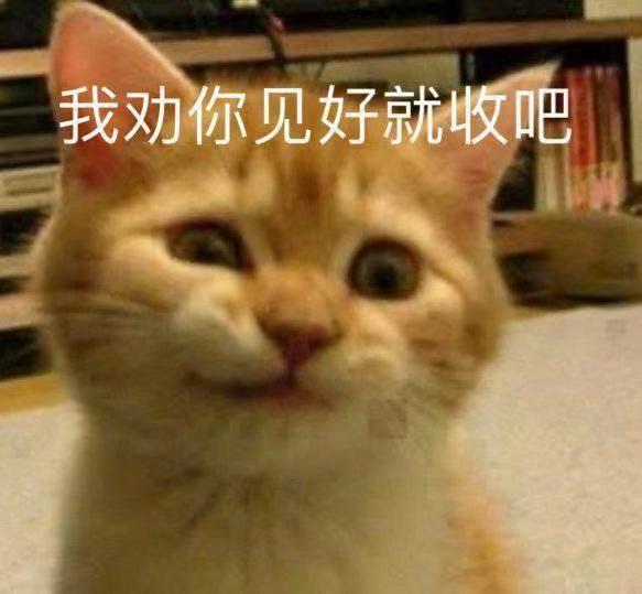 好听的姐妹微信群名称，姐妹微信群名叫什么好（沙雕搞笑群名）