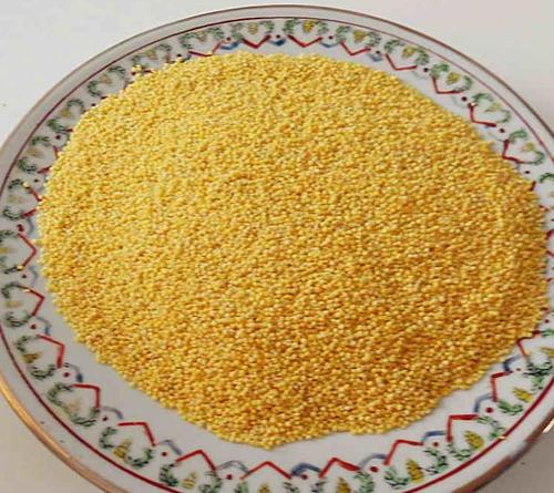 丸九鲫鱼饵料经典配方揭秘：高效诱钓鲫鱼的实战搭配指南