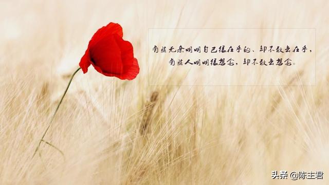 表达心累又无奈的说说，压抑憋屈的心情说说（伤感心累无奈的说说）