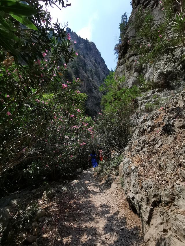 Diviner(占卜者)网名，Diviner(占卜者)微信昵称（环游土耳其<21>）