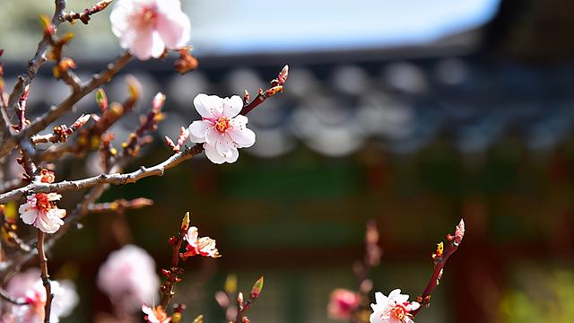 姓雷的男孩名字，姓雷的男孩名字大全（10个品貌非凡的宝宝名）